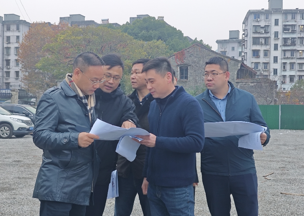12月6日下午，区委常委、常务副区长徐洪涛带队调研重点地块，开投集团党委副书记、副董事长、总经理戴国栋陪同调研_副本.jpg